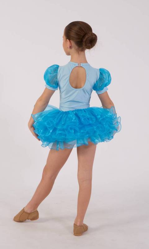 PRINCESS - tutu - soft sleeve  - Blue