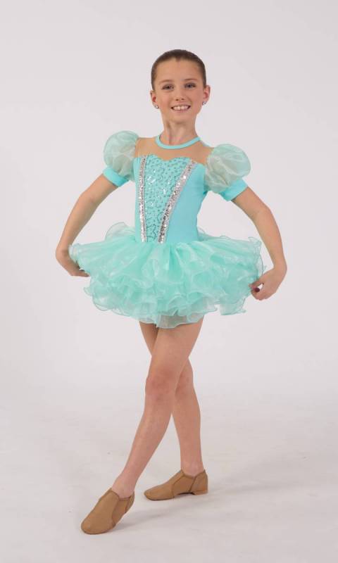 LITTLE PRINCESS - tutu - soft sleeve Dance Costume